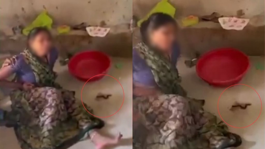 Chhatarpur| Hindi News, Viral News