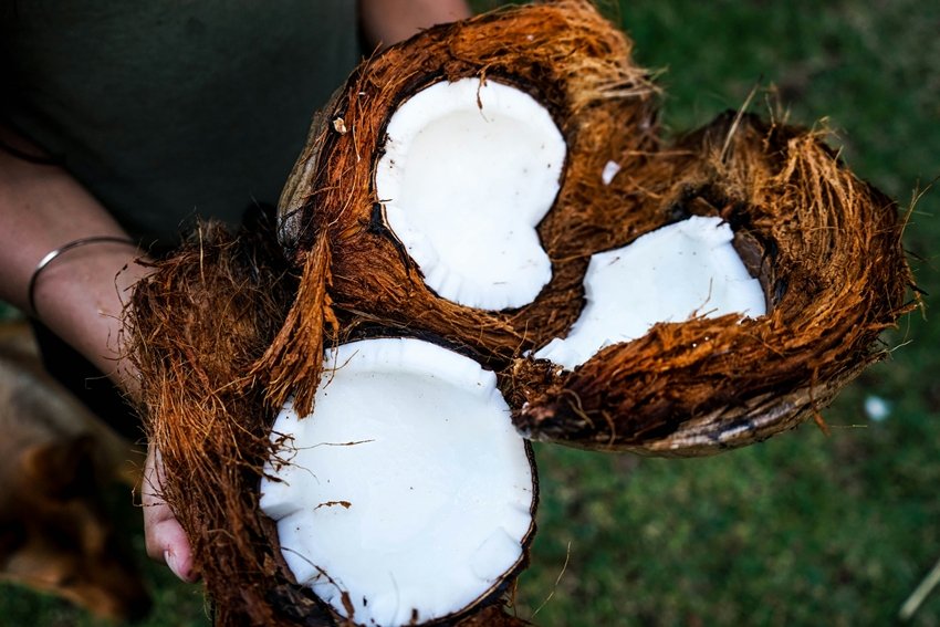 Eat Raw Coconut for Better Digestion Energy and Weight Loss