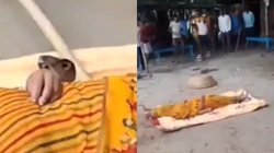 कोबरा के डसने के बाद गिरी महिला, अस्पताल ले जाने के बदले उसी सांप से डसवाने लगे लोग, अंधविश्वास का Viral Video देख आ जाएगा गुस्सा