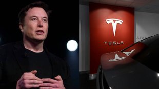 Elon Musk, Elon Musk news, Elon Musk news in hindi