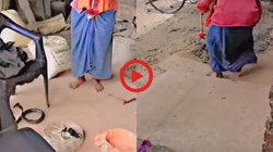 बीन बजाकर नाग को जगा रहा था सपेरा, कुछ ही पल बाद टोकरी से निकला सांप और फिर…, Viral Video देख चौंक गए यूजर्स