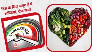 health VEGETABLES, food for control cholestrol, healthy food, nutrition,cholesterol control,vegetables for LDL cholesterol control,methi patta, bhindi for cholestrol control,