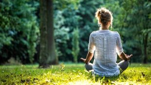happiness philosophy, Rekha Vigyan, Bhagavad Gita happiness, Ikigai meaning, Hygge lifestyle