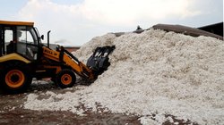 अमेरिकी कृषि विभाग ने कपास से इम्पोर्ट ड्यूटी हटाने का स्वागत किया