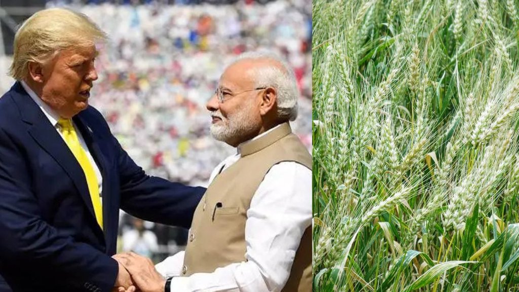 India-US trade, India US agriculture trade, Trump tariffs