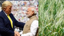 India-US Agri Trade: ट्रंप सरकार की टैरिफ चेतावनियों का नहीं पड़ा असर, ऑल टाम हाई पर एग्री ट्रेड, जानें क्या कहते है आंकड़े