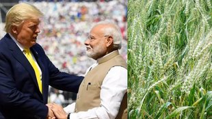 India-US trade, India US agriculture trade, Trump tariffs