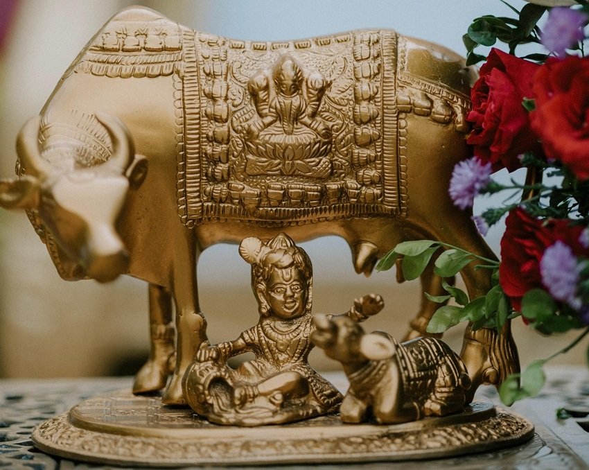 Janmashtami Vrat Rules and Bhog Ideas by Premanand Ji Maharaj