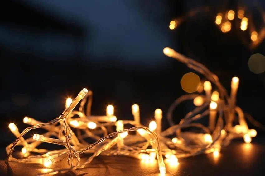 Janmashtami celebration ideas