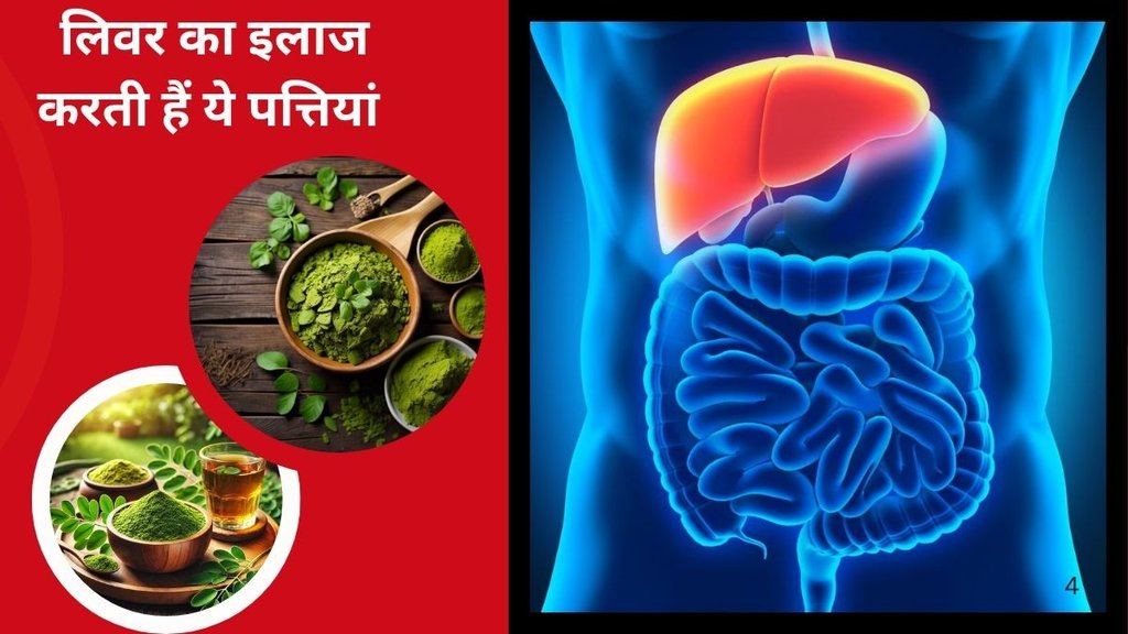 liver health, superfood for liver, moringa benefits, natural liver detox, moringa nutrition, heart health, digestive health, antioxidants for liver