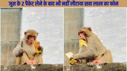 वृंदावन में सवा लाख का फोन छीन ले गया बंदर, दो जूस के पैकेट लेने के बाद भी नहीं लौटाया मोबाइल; देखें वायरल वीडियो
