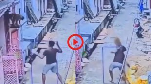 Viral Video| Monkey Viral Video| Hindi News