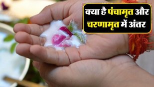 Panchamrit aur Charnamrit | Panchamrit Recipe | Charanamrit Recipe