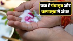 पंचामृत और चरणामृत में क्या है अंतर? श्रीकृष्ण जन्माष्टमी से पहले जानें दोनों को बनाने का तरीका
