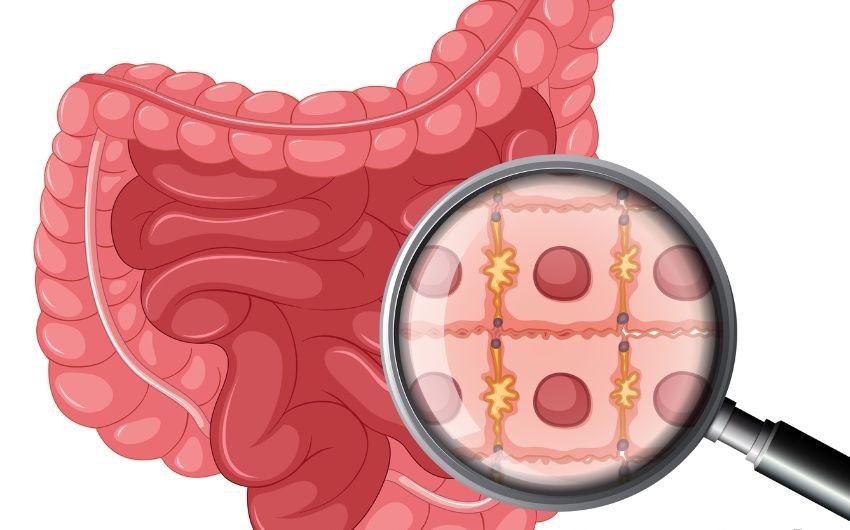 yoga for stomach issues
