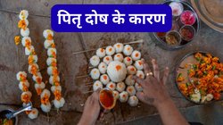 Pitra Dosh: इन 10 बड़ी गलतियों से नाराज होते हैं पितर, लगता है पितृदोष, जरूर रखें ध्यान
