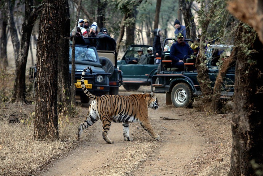 Places to visit in Punjab