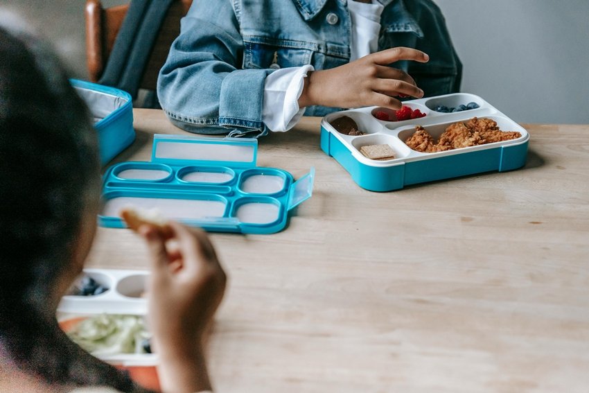 Protein-Rich Indian Tiffin Ideas Kids Will Love