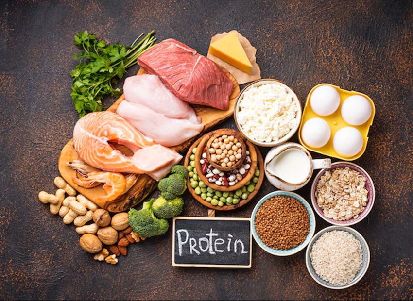 Protein