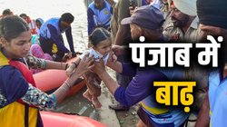 पंजाब के नौ जिलों में बाढ़ का कहर, बचाव अभियान में जुटी वायुसेना, ड्रोन से पहुंचाए जा रहे फूड पैकेट