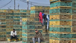 Rajasthan News, Rajasthan News in Hindi, Egg Nonveg Sale
