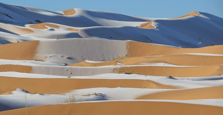Sahara Desert Covered in Snow