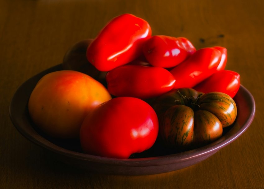 Salmonella in vegetarian foods