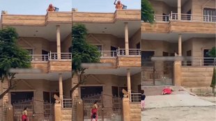 Viral Video| Shocking Video| Viral News
