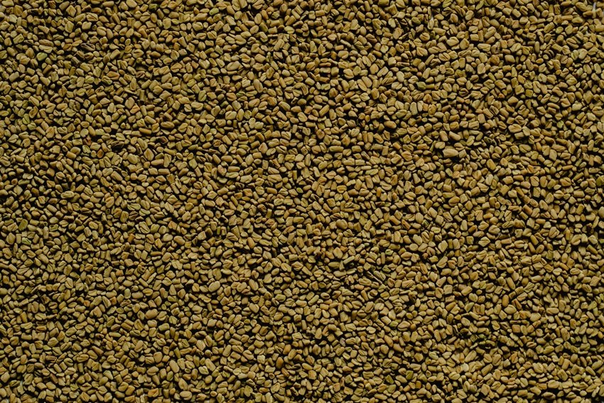 Strengthen Your Heart Naturally with These 7 Super Herbs