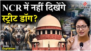 delhi-dog-relocation-shelter-supreme-court-delhi-ncr-animal-news-dog-bites-cases-parliament-report