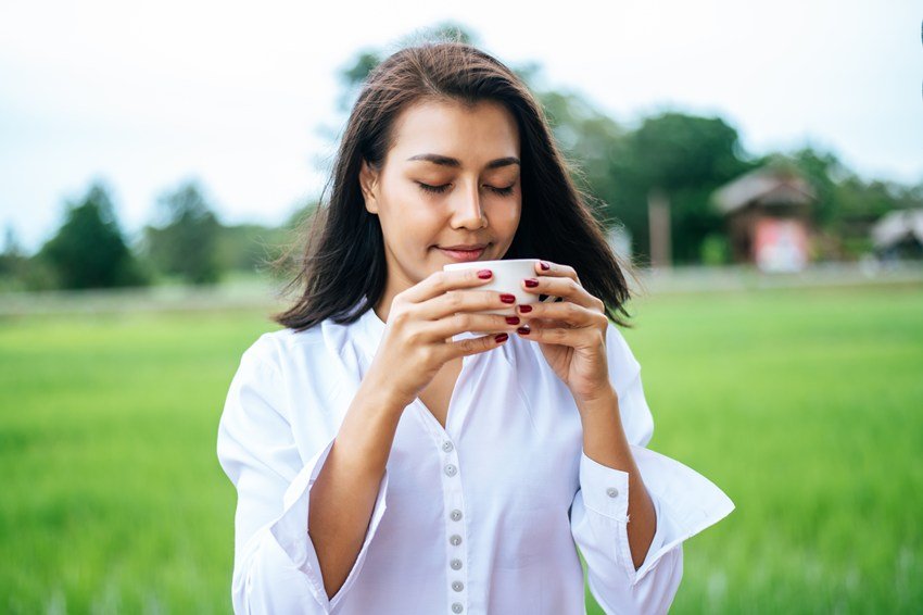 science behind taste buds