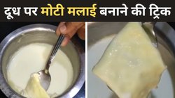फुल क्रीम दूध लेने के बाद भी नहीं आती गाढ़ी मलाई, उबालते और स्टोर करते समय इन बातों का रखें ध्यान