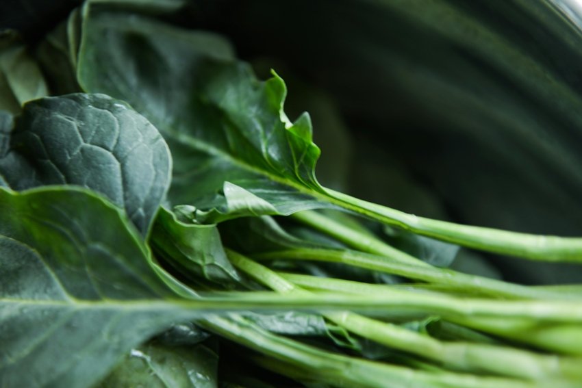 Top 9 Brain-Boosting Foods to Add in Diet