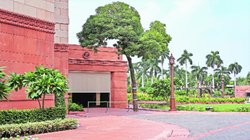 संसद में लगा एक पेड़ पीएम मोदी की सुरक्षा के लिए बना खतरा, गज द्वार से उखाड़कर अब यहां लगाया जाएगा