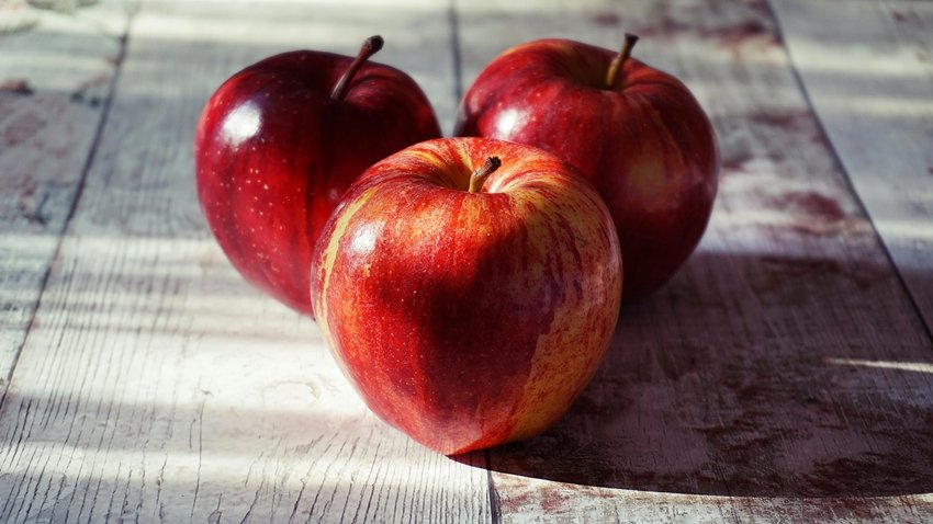 Ultimate Brain Boosting Diet 9 Superfoods Every Child Should Eat