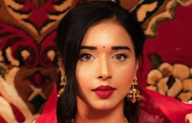 tanya mittal wedding plan