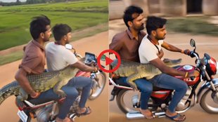 Viral Video| Viral Instagram Reels| Trending Video