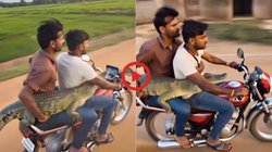 किसी पालतू जानवर की तरह मगरमच्छ को बाइक पर लेकर जाते दिखे युवक, Viral Video देख यूजर्स के छूटे पसीने