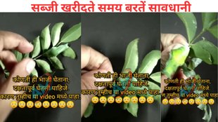 Viral video unhealthy vegetables, green vegetables in monsoon