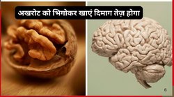 रोजाना 30 दिनों तक 2 अखरोट का सेवन पानी में भिगोकर करें तो सेहत पर कैसा होता है असर, डॉक्टर से जानिए