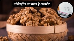 रोज़ 2 भीगे हुए अखरोट खाने से क्या LDL कोलेस्ट्रॉल कंट्रोल रहता है? क्या Walnuts दिल को हेल्दी रखता है, एक्सपर्ट से जानिए