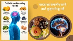 दिमाग को कुंद कर देते हैं ये 5 तरह के फूड, याददाश्त कर देते हैं कमजोर, हार्वर्ड के डॉक्टर ने बताया इन्हें Mental Health का दुश्मन