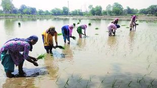 India water crisis, water management, irrigation efficiency