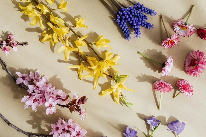 Welcome Lord Krishna with These Easy and Stunning Puja Room Decor Tips