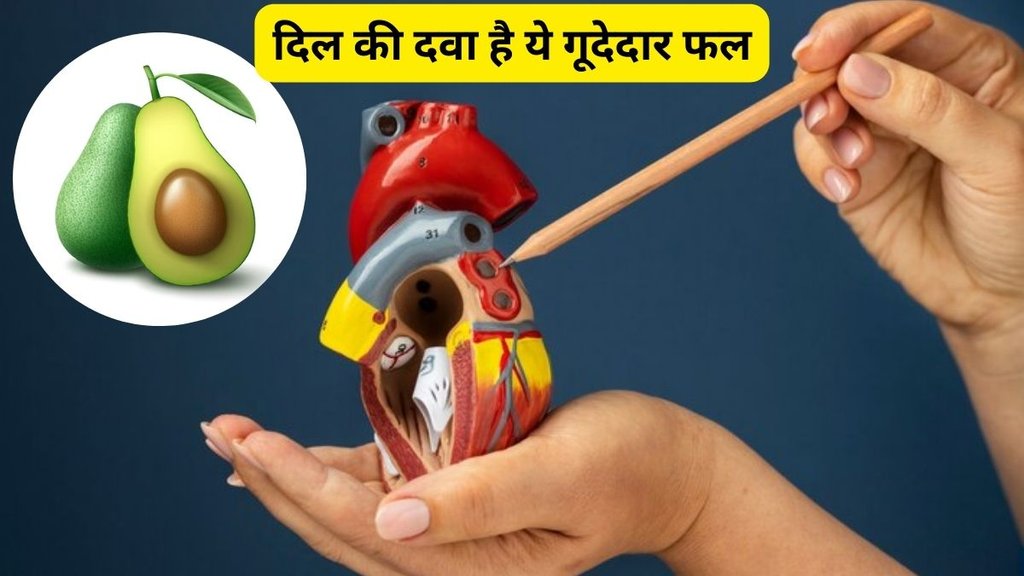 Powerful Health Benefits of Avocado, health benefits of Avocado, Avocado Nature's Creamiest Superfood, Healthy for the Heart,Help You Lose Weight, avocado for Improve Vision,