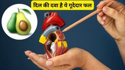 रोज 1 Avocado खाने से सेहत पर कैसा होता है असर, जानिए