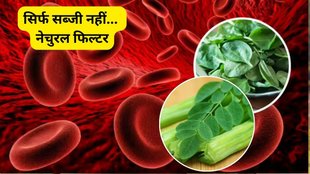 Blood purification-or vegetables, vegetables to purify the blood, which substances purify the blood, vegetables to prevent anemia, measures to filter the blood