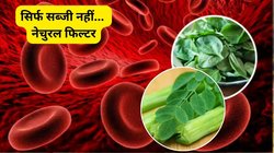 ये 4 हरी सब्जियां नेचुरल फिल्टर का करती हैं काम, खून की गंदगी भी हो सकती है साफ, आयुर्वेदिक चिकित्सक से जानिए कैसे