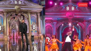 Bigg Boss 19 Contestant