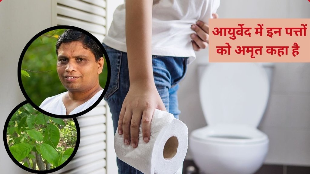 kabz ka ilaj, aacharya balkrishna nuskha, Is bael Patra good for constipation,This is why you must have Bael Patra in summers daily,Reasons why you must have Bael Leaves daily,Boosts immunity,Get rid of stomach problems,Consume two Bel Patra to get rid of constipation